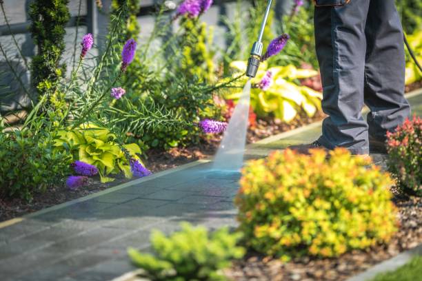 Best Driveway Pressure Washing  in Alice, TX